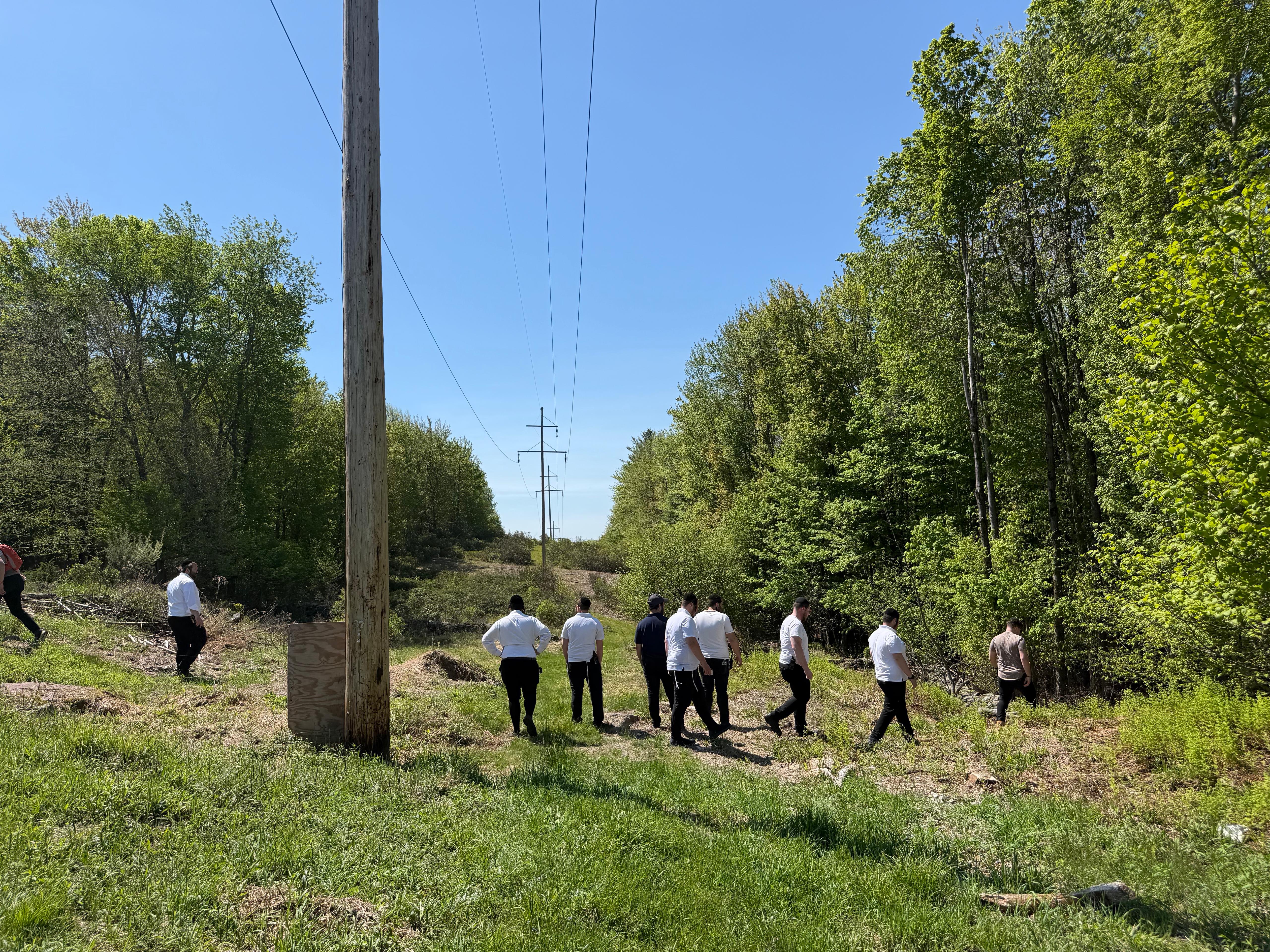Chavivim search line moving through a clearing under power lines into the woods, holding spacing and direction